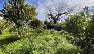 Vente Terrain constructible Cap-d'Ail
