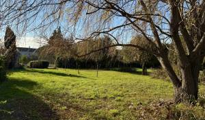 Vente Terrain constructible Cheval-Blanc