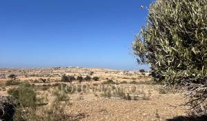Vente Terrain constructible Essaouira