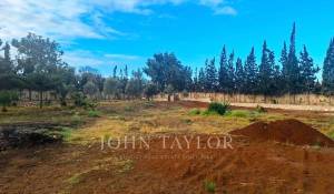 Vente Terrain constructible Essaouira
