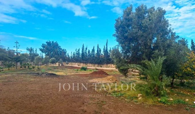 Vente Terrain constructible Essaouira