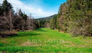 Vente Terrain constructible Les Paccots