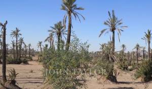 Vente Terrain constructible Marrakech