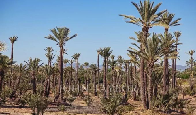 Vente Terrain constructible Marrakech