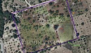 Vente Terrain constructible Moscari