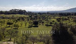 Vente Terrain constructible Moscari