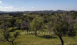 Vente Terrain constructible Moscari