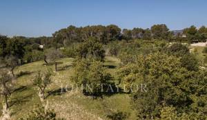 Vente Terrain constructible Moscari