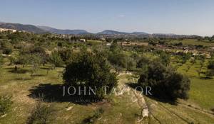 Vente Terrain constructible Moscari