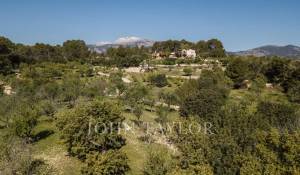 Vente Terrain constructible Moscari