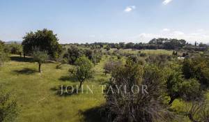 Vente Terrain constructible Moscari