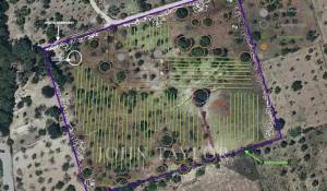 Vente Terrain constructible Moscari
