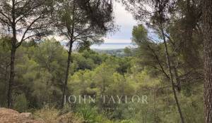 Vente Terrain constructible Palma de Mallorca