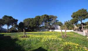 Vente Terrain constructible Palmanova