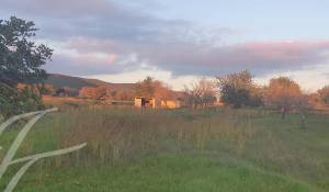 Vente Terrain constructible Sant Carles de Peralta