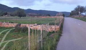 Vente Terrain constructible Sant Carles de Peralta
