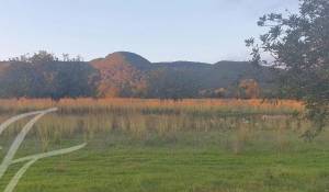 Vente Terrain constructible Sant Carles de Peralta