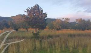 Vente Terrain constructible Sant Carles de Peralta