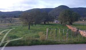 Vente Terrain constructible Sant Carles de Peralta