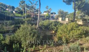Vente Terrain constructible Santa Ponsa
