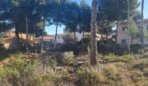 Vente Terrain constructible Santa Ponsa