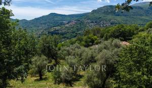 Vente Terrain constructible Tourrettes-sur-Loup