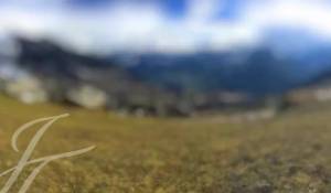 Vente Terrain constructible Verbier