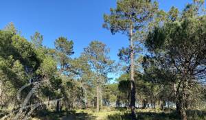 Vente Terrain Grândola