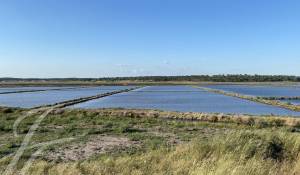 Vente Terrain Grândola