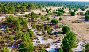 Vente Terrain Grândola