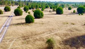 Vente Terrain Grândola