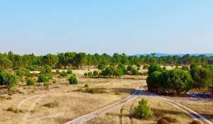 Vente Terrain Grândola