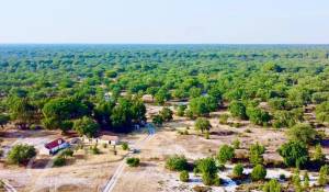Vente Terrain Grândola