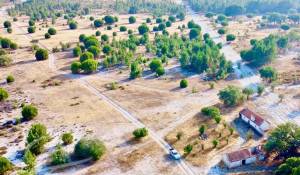 Vente Terrain Grândola