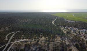 Vente Terrain Grândola