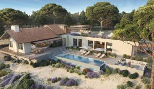 Vente Terrain Grândola