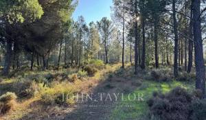 Vente Terrain Grândola e Santa Margarida da Serra