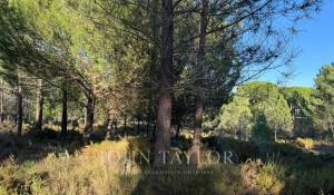 Vente Terrain Grândola e Santa Margarida da Serra