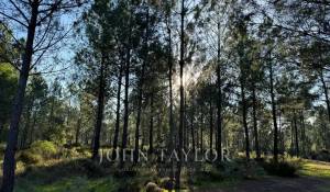 Vente Terrain Grândola e Santa Margarida da Serra