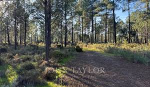 Vente Terrain Grândola e Santa Margarida da Serra