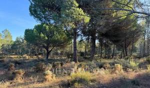 Vente Terrain Grândola e Santa Margarida da Serra