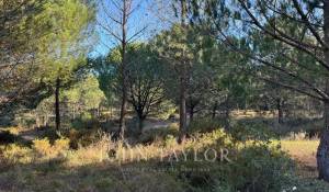 Vente Terrain Grândola e Santa Margarida da Serra