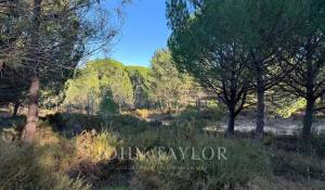 Vente Terrain Grândola e Santa Margarida da Serra