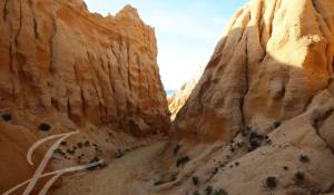 Vente Terrain Grândola e Santa Margarida da Serra