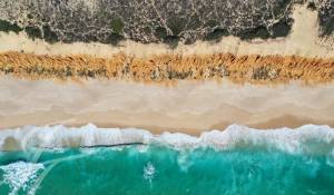 Vente Terrain Grândola e Santa Margarida da Serra