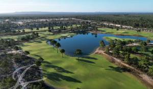 Vente Terrain Grândola e Santa Margarida da Serra