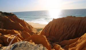 Vente Terrain Grândola e Santa Margarida da Serra