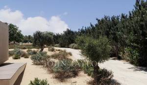 Vente Terrain Grândola e Santa Margarida da Serra