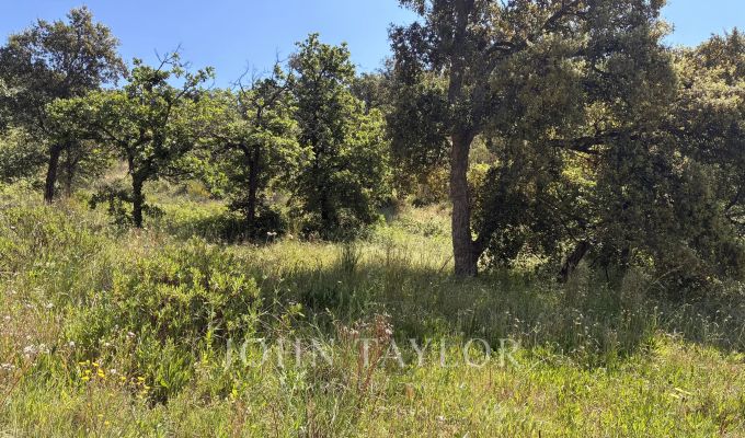 Vente Terrain Grimaud