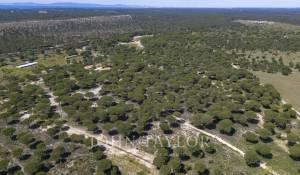 Vente Terrain Melides